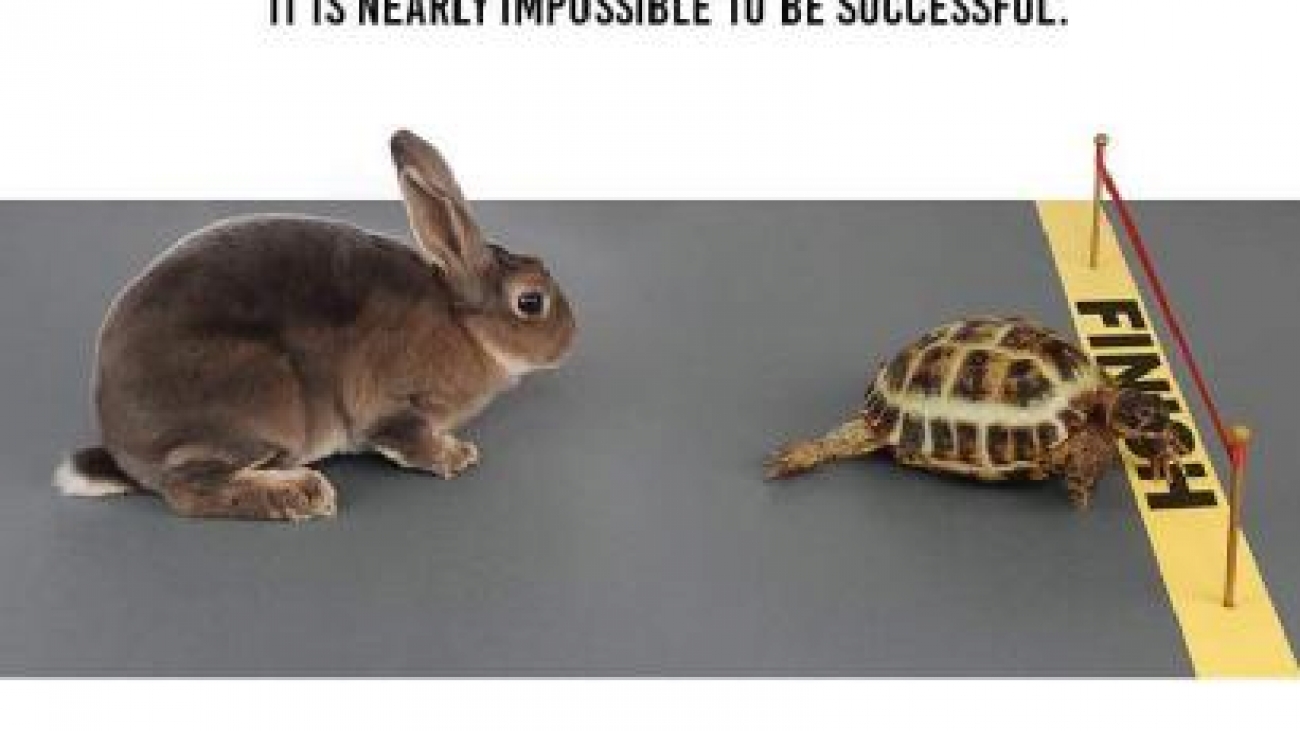 83242f40-f5fd-4226-8b18-31d17714ba35-medium