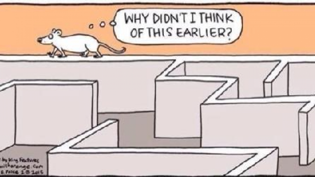 d7d3407b-838c-4209-bb93-70776d34a7af-medium