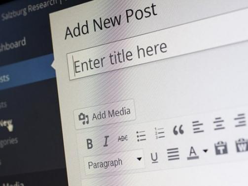 wordpress-265132__340